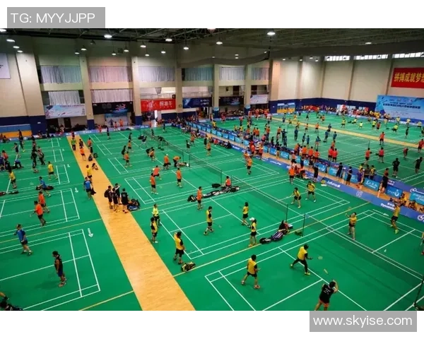 深圳羽毛球队逆袭之路：从困境到辉煌的全景解读