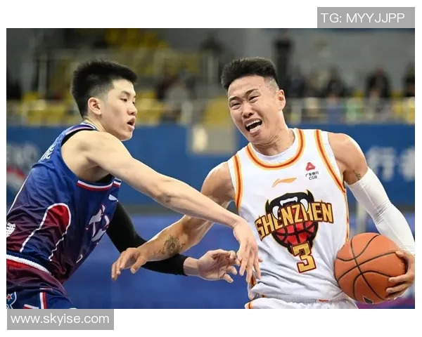 篮球专题：聚焦深圳篮球队的耐力