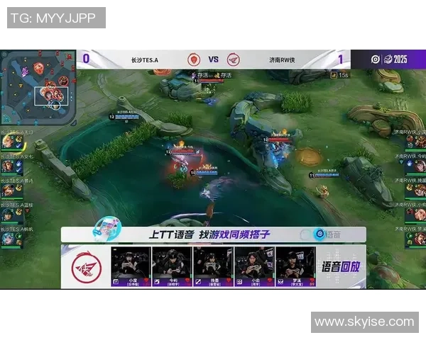 王者荣耀热议：TES的耐力争议